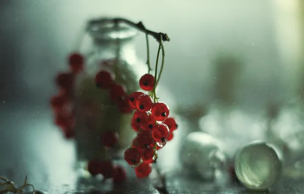 Glass, drops, berries, bottle, still life, red, currants, bokeh