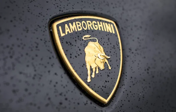 Drops, Lamborghini, logo, Lamborghini, bull