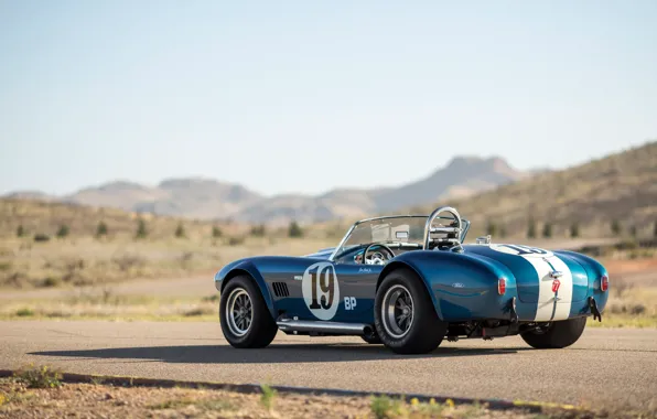 Picture Shelby, Cobra, legend, rear view, Shelby Cobra 289