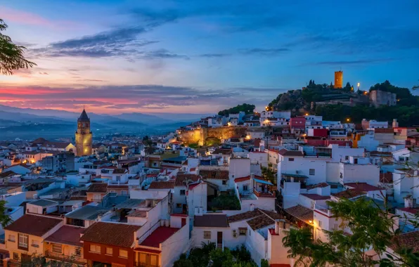 Picture the sky, trees, the city, home, the evening, roof, tower, Spain