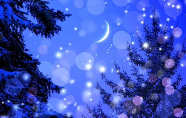 Winter, stars, snow, trees, night, glare, a month, lights