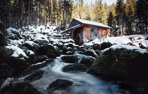Picture winter, forest, river, mill