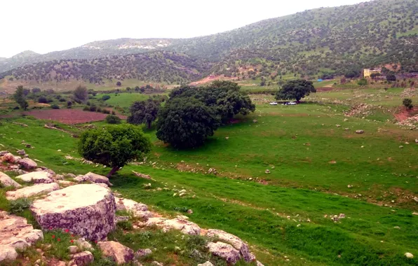 Nature, mountain, relaxing, kurdistan, Iرت youک