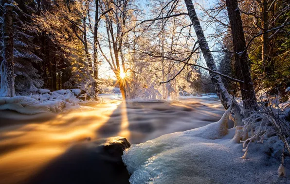 Ice, the sky, clouds, snow, trees, landscape, sunset, nature