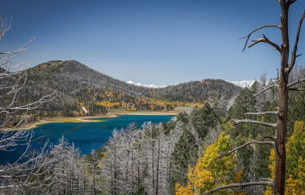 The sky, trees, mountains, lake