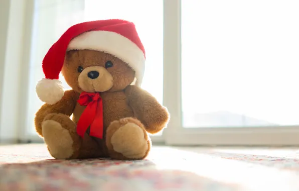New Year, Christmas, bear, Christmas, New Year, teddy bear, Merry, santa hat