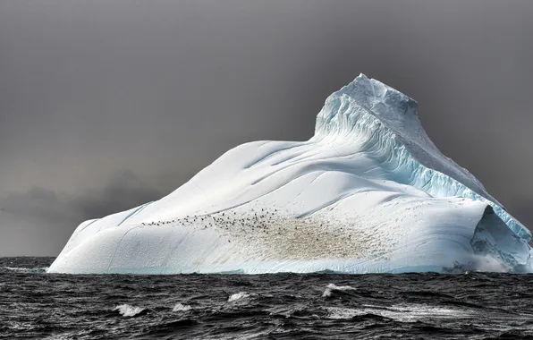 Ice, sea, iceberg, blocks