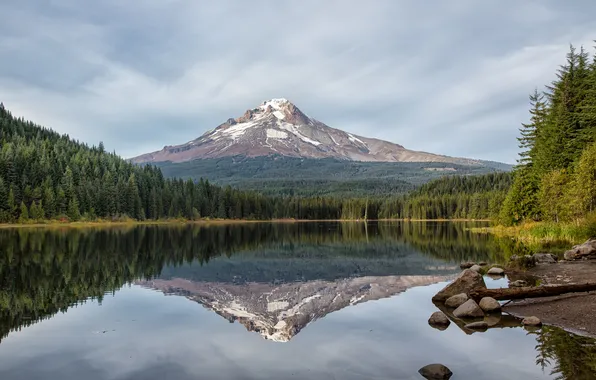 Forest, lake, reflection, mountain, Oregon, Trillium Lake