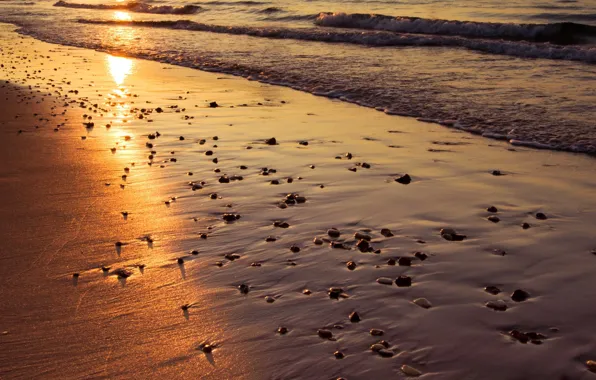 Sand, sea, beach, the sun, sunset, reflection, wave, England