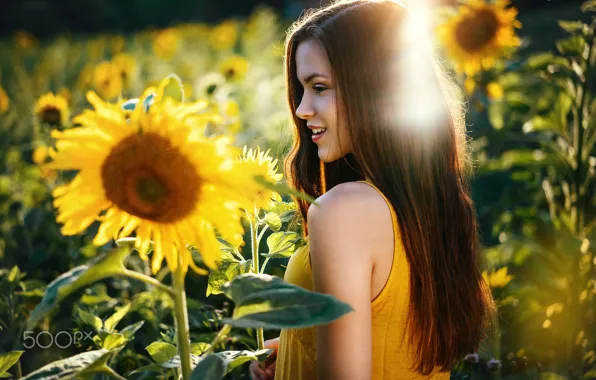 Picture summer, girl, the sun, light, sunflowers, smile