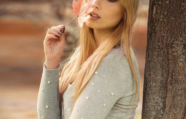 Look, portrait, blonde, maple leaf, the trunk of the tree, Kate, Maciej Werbliński