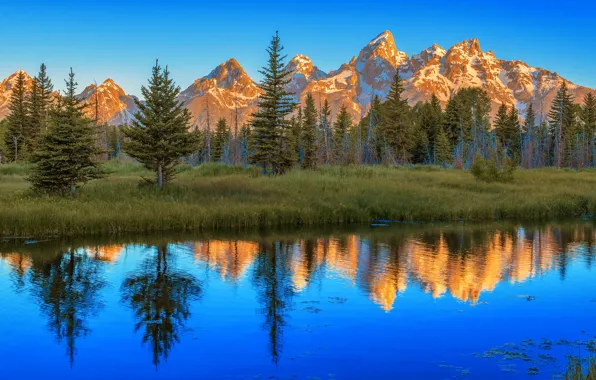 Picture trees, landscape, mountains, nature, lake, reflection, morning, USA