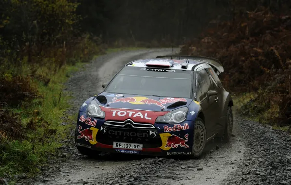 Auto, Dirt, Citroen, Lights, Red Bull, DS3, WRC, Rally