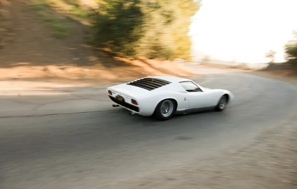 Picture Lamborghini, 1969, white, Miura, Lamborghini Miura P400 S