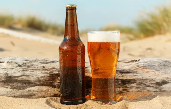 Sand, beach, foam, the sun, drops, glass, bottle, beer