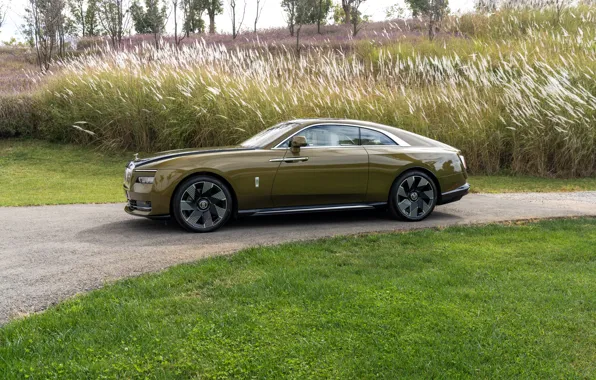 Rolls-Royce, Spectre, side view, Rolls-Royce Spectre