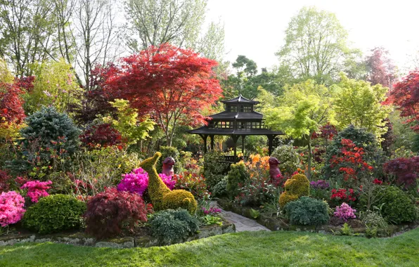 Picture trees, flowers, design, lawn, garden, track, gazebo, the bushes