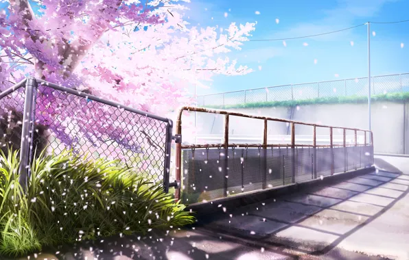 Spring, Mesh, The fence, Flowering tree