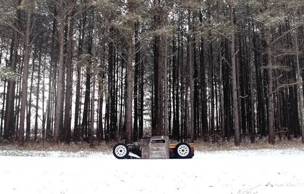 Forest, snow, volkswagen, forest, Volkswagen, snow, rat, rod