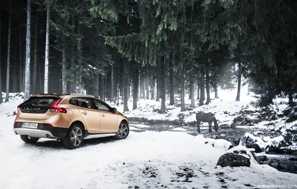 Forest, snow, stream, horse, Volvo, Volvo V40 Cross County