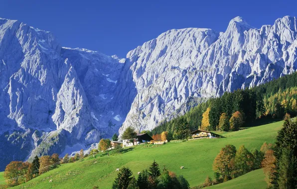 Forest, mountains, nature, home, Austria, village, meadows