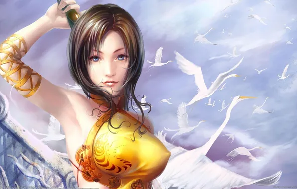 The sky, girl, birds, China, sword, Chinese, warrior, swans