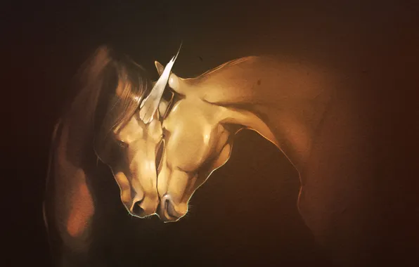 Picture horse, art, Unicorn, horn