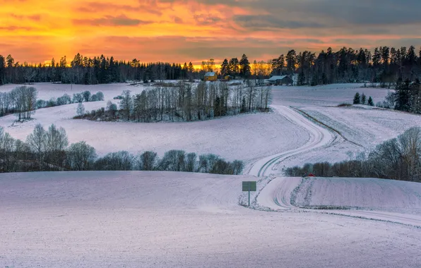 Winter, road, field, snow