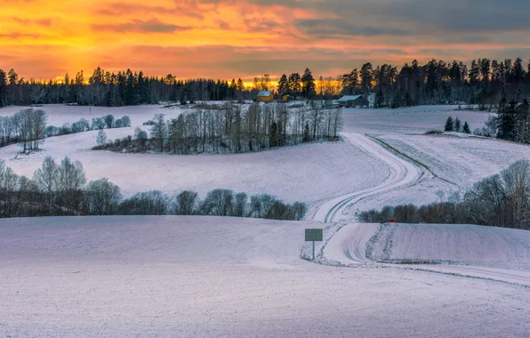 Picture winter, road, field, snow