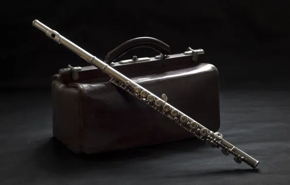 Picture background, suitcase, flute