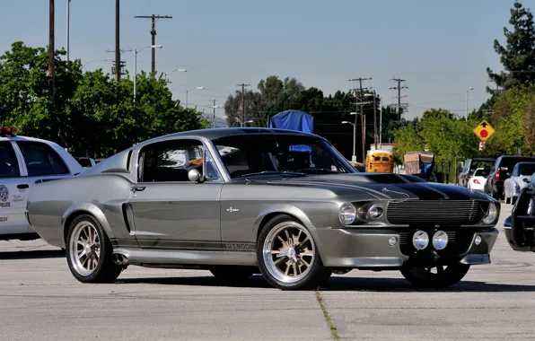 Picture background, Mustang, Ford, GT500, Ford, Mustang, Eleanor, the front