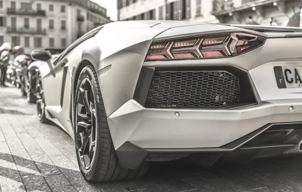 Ass, black and white, Lamborghini, LP700-4, Aventador