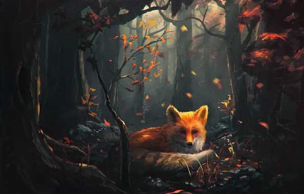 Forest, look, trees, art, Fox