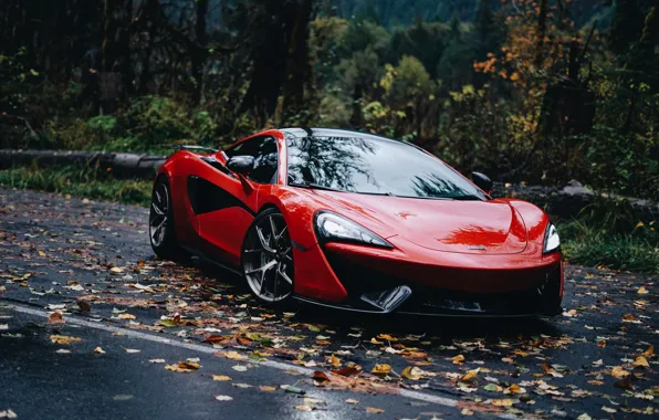 McLaren, red, car, McLaren 570S, yellow leaves