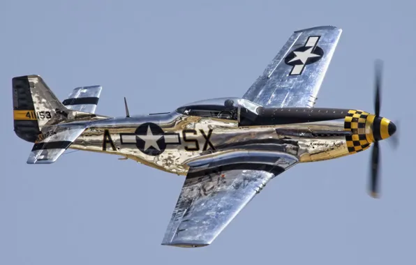 Picture the sky, the plane, P-51 Mustang