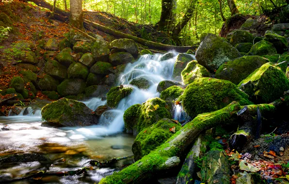 Picture autumn, forest, stream, stones, waterfall, moss, Russia, cascade