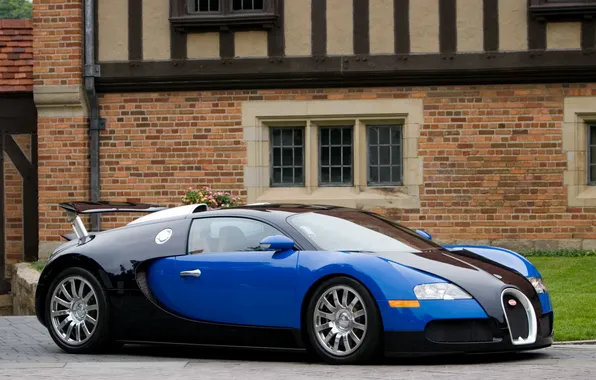 Picture Blue, Machine, Bugatti, Bugatti, Veyron, Machine, Veyron, Black