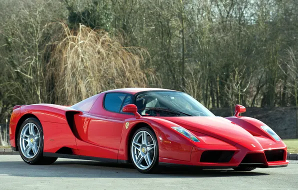 Picture red, Ferrari, supercar, Ferrari, Enzo