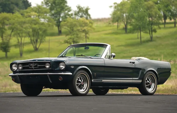 Trees, Mustang, Ford, Ford, green, Mustang, convertible, 1965