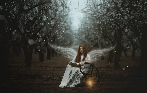 Girl, light, trees, flowers, branches, nature, glade, wings