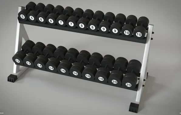 Hall, iron, bodybuilding, fitness, dumbbells, simulators, dumbbell, dumbbell row