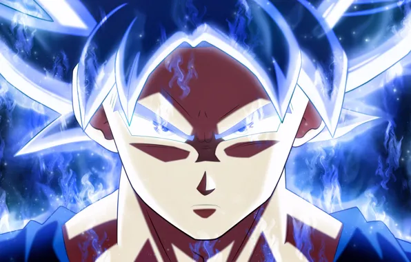 Wallpaper dragon ball, goku, ultra instinct perfected, dragon ball