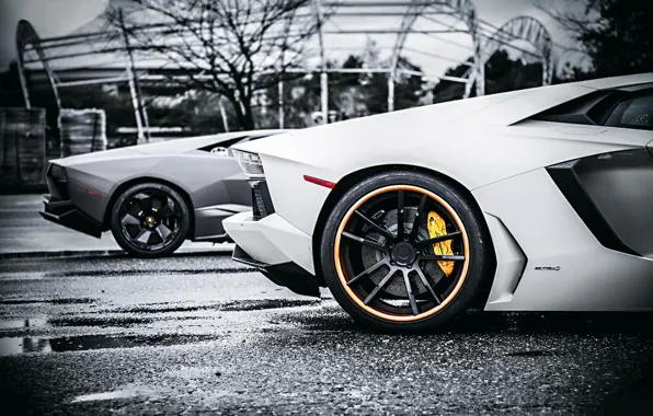 Lamborghini, Reventon, Style, White, Tuning, Aventador, Body VS