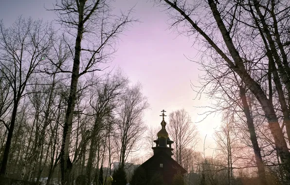 The sky, snow, trees, spring, Moscow, temple, Russia, architecture