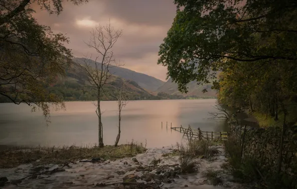 Nature, Lake, Overcast