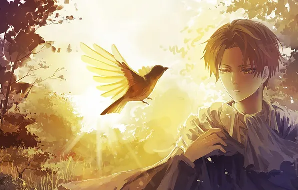 Picture bird, Anime, black hair, short hair, shingeki no kyojin, attack on titan, Eren