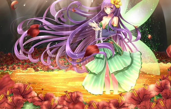 Picture look, girl, flowers, smile, magic, wings, art, toshi