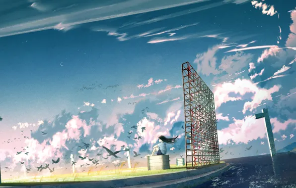 The sky, girl, birds, boxes, Crescent