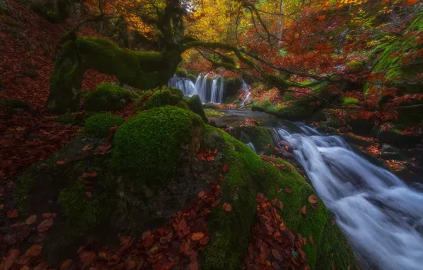 Autumn, forest, trees, river, waterfall, moss, slope, Spain