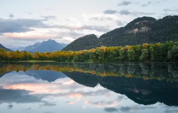 Forest, river, sky, trees, landscape, nature, water, mountains